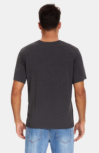 Men's Bamboo V-Neck T-Shirt. Charcoal. S-4XL (back)