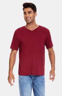 Men's Bamboo V-Neck T-Shirt. Red / Wine. S-4XL