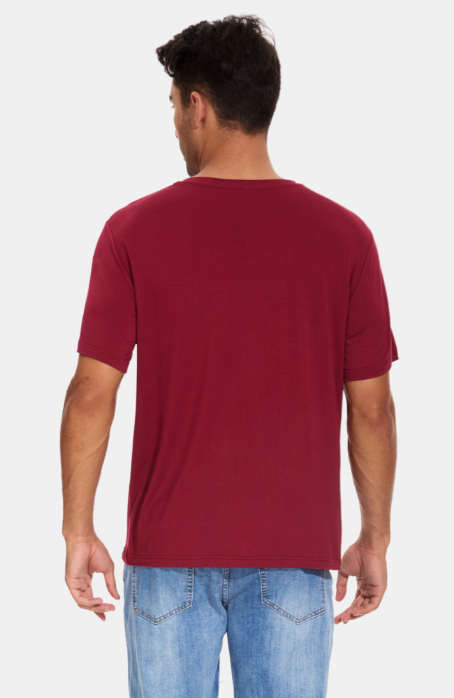 Men's Bamboo V-Neck T-Shirt. Red / Wine. S-4XL (bacK)